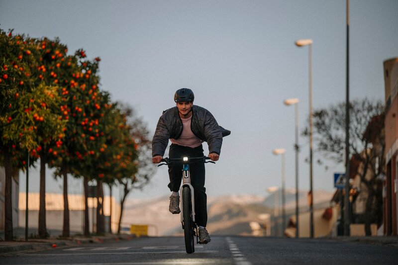 Riese und Muller Delite5 HS